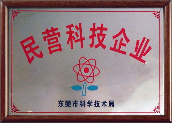民营科技企业